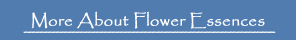 More about Flower Essences